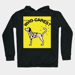 rex orange county who cares- keep it Hoodie